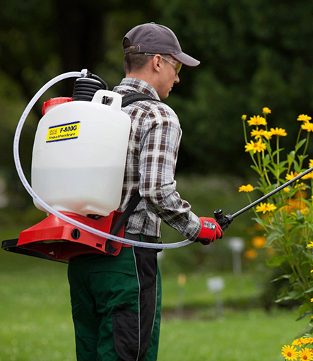 Knapsack sprayer plant protection indispensable good helper